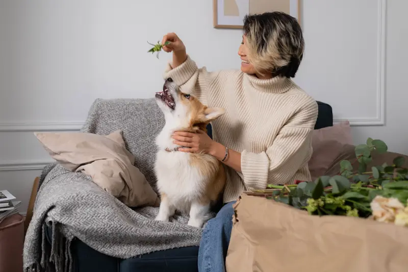 Emotional support dog at home playing with their owner - ESALetters.com