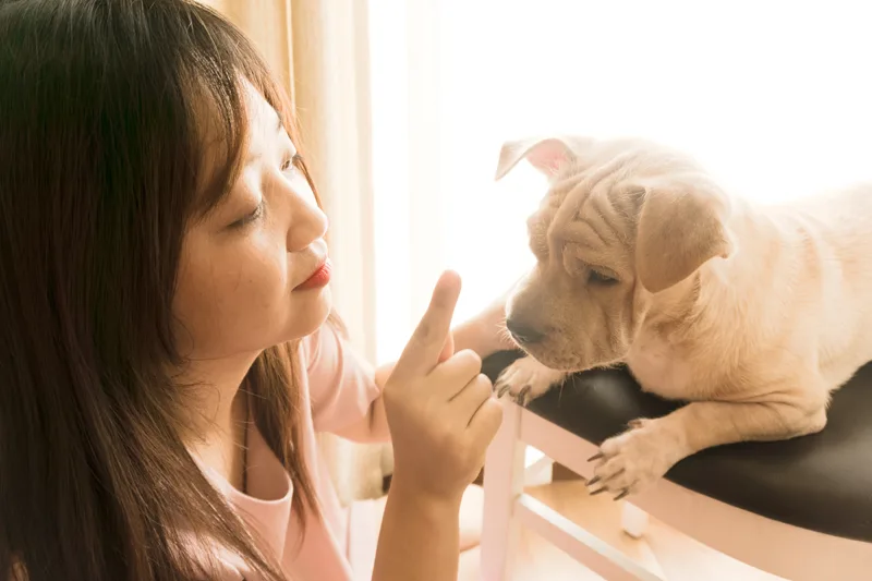 Woman at home with her emotional support animal