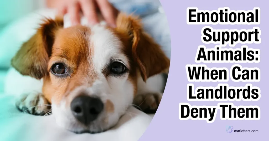 Can Landlords Deny Emotional Support Animals?