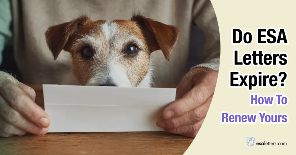 Do ESA Letters Expire? When to Renew Yours
